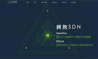 云杉網絡完成1100萬美元B輪融資，引領國內SDN技術服務新浪潮